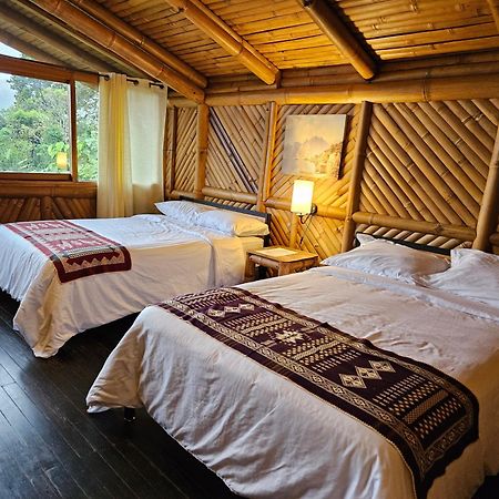 Golden Tree Mindo Eco-Lodge Экстерьер фото