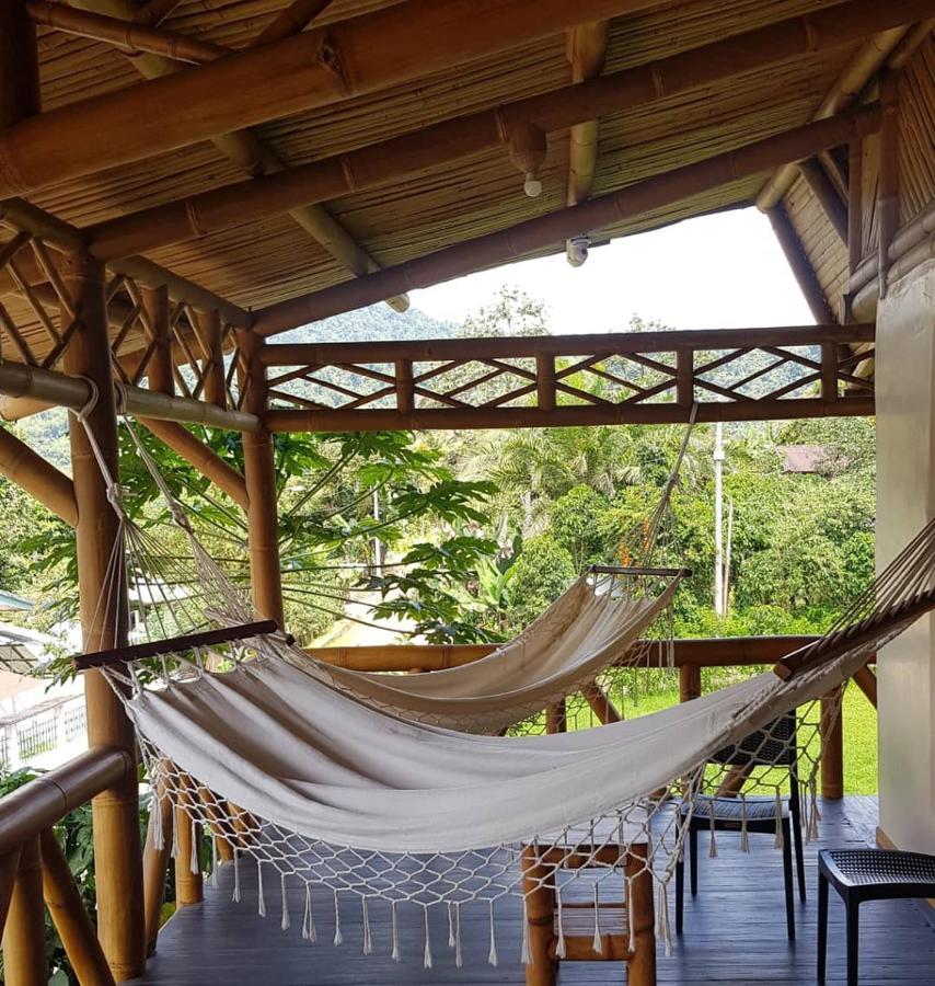 Golden Tree Mindo Eco-Lodge Экстерьер фото