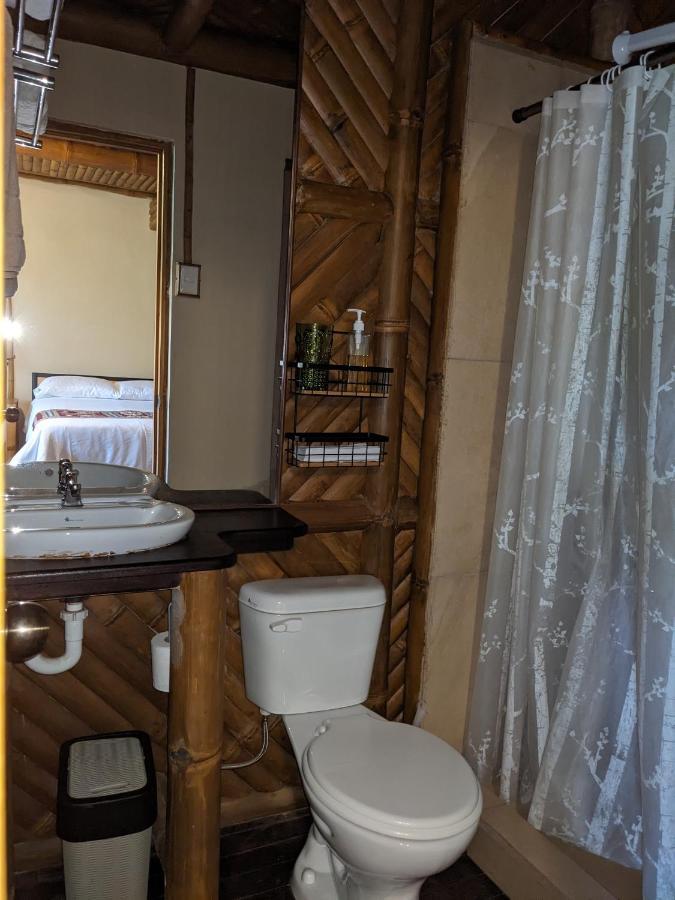 Golden Tree Mindo Eco-Lodge Экстерьер фото