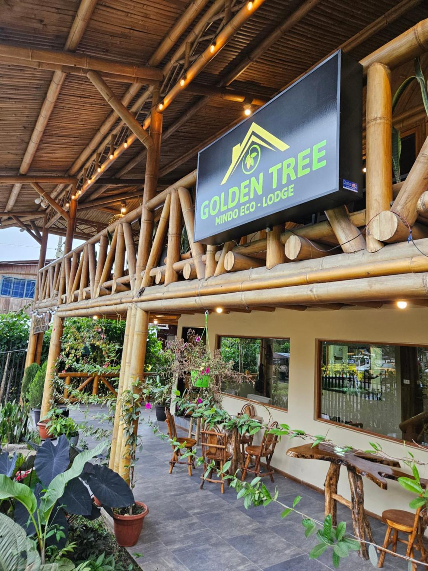Golden Tree Mindo Eco-Lodge Экстерьер фото