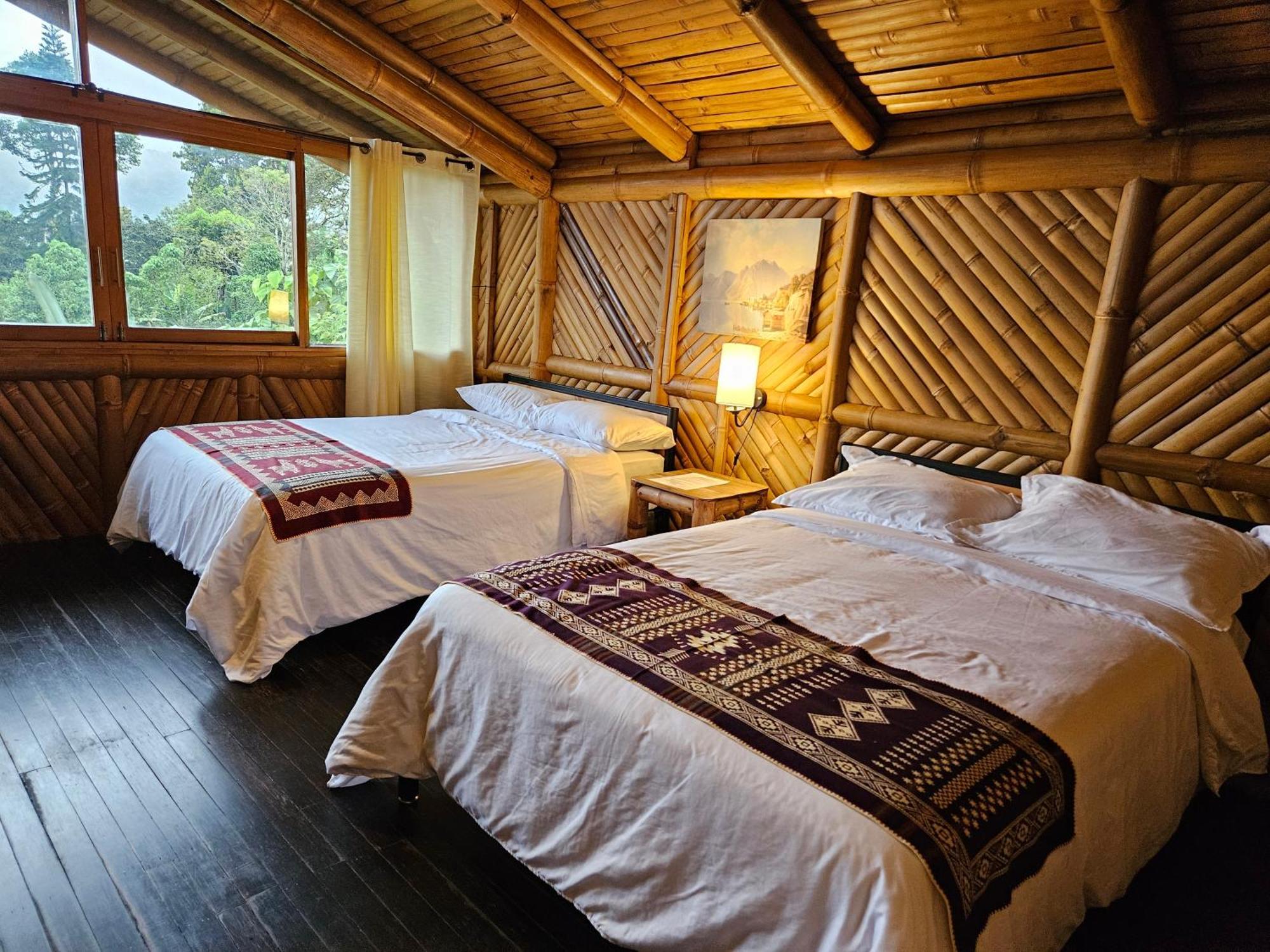 Golden Tree Mindo Eco-Lodge Экстерьер фото
