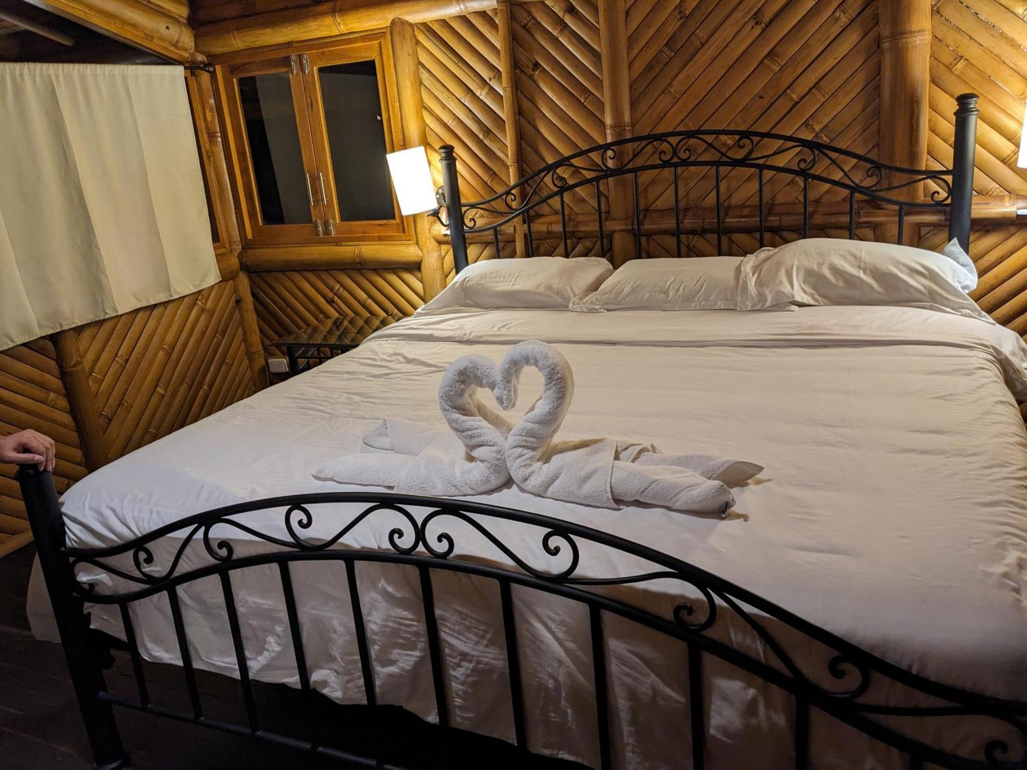 Golden Tree Mindo Eco-Lodge Экстерьер фото