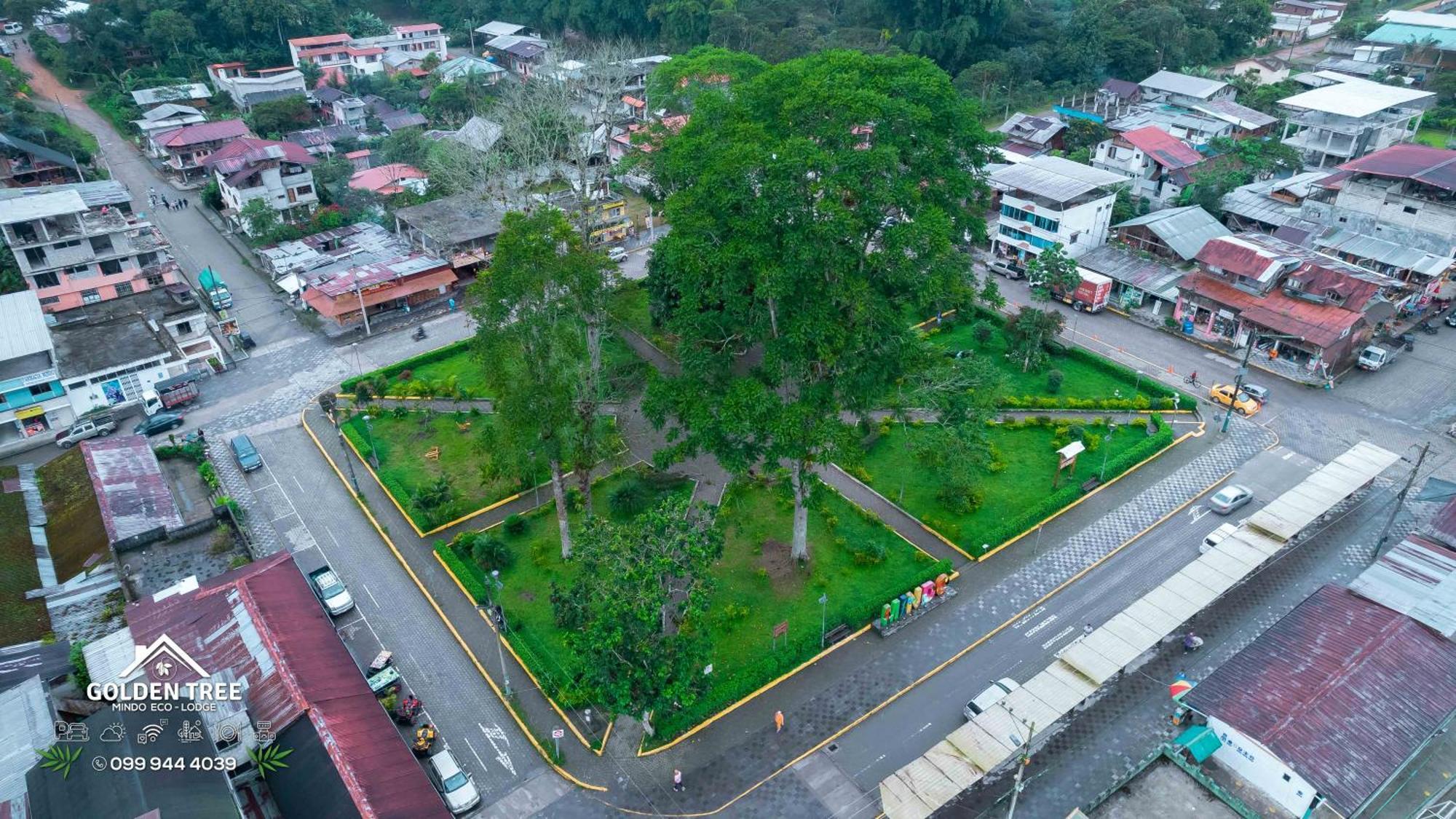 Golden Tree Mindo Eco-Lodge Экстерьер фото